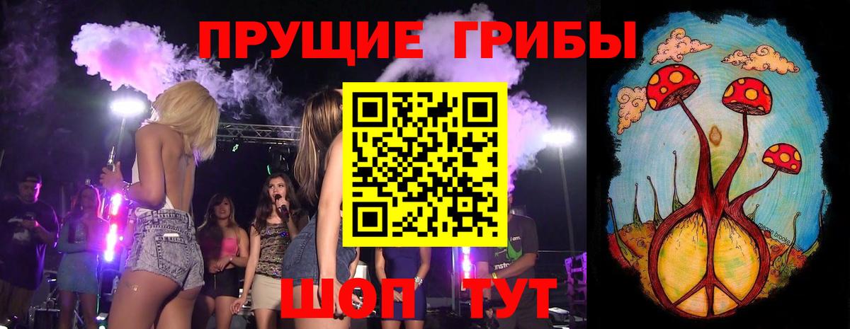 Галлюциногенные грибы Cubensis Барнаул