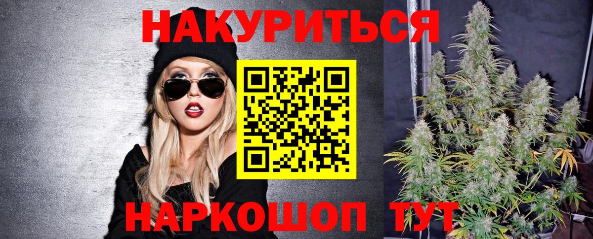 Каннабис OG Kush  Канабис план  МАРИХУАНА сатива  Вход с VPN  Барнаул 